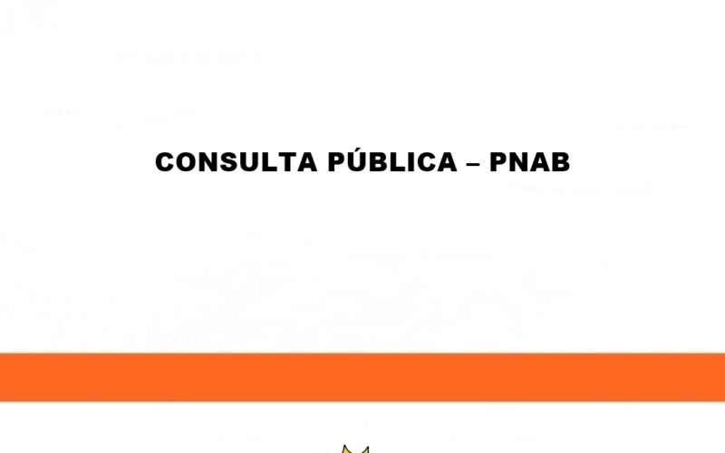 Tumiritinga abre consulta pública sobre aplicação de recursos da PNAB