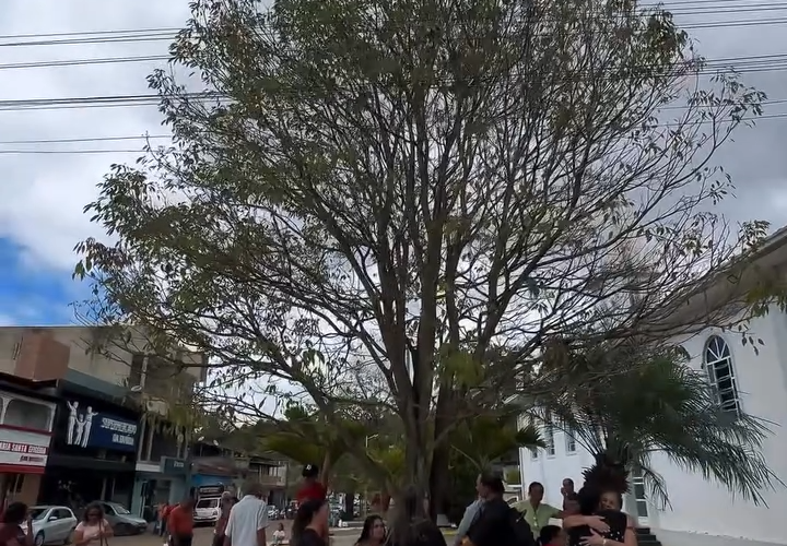 Gestão Cleidiny fortalece acesso à saúde com transporte diário para pacientes de Santa Efigênia de Minas